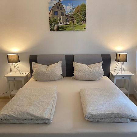 Ferienwohnung Stiegel Ингелхайм ам Рейн Екстериор снимка